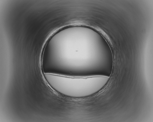 X0000116441191200912081346