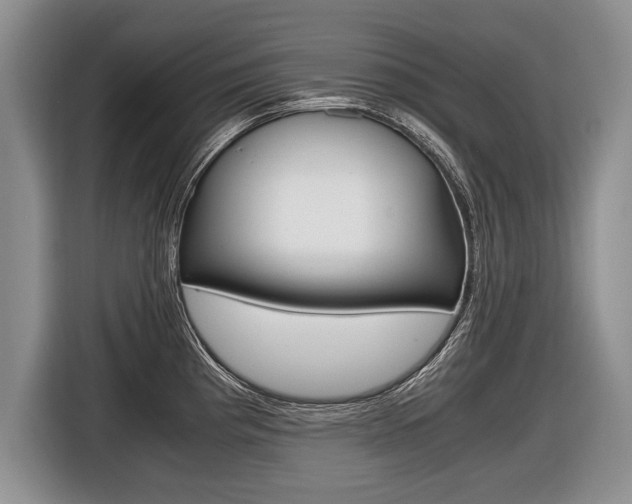X0000116441193200912081346