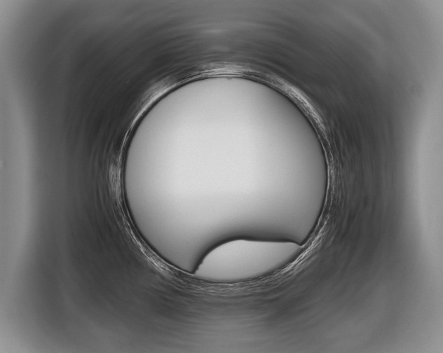 X0000116441194200912081346
