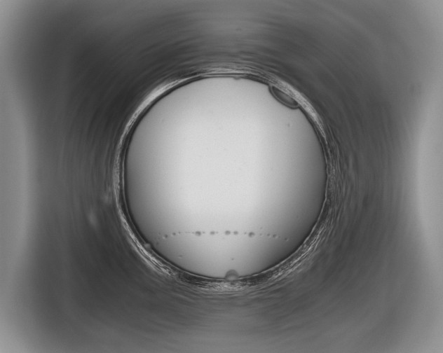 X0000116441195200912081346