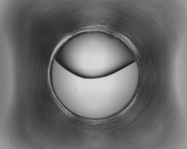X0000116441196200912081346