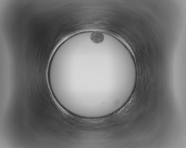 X0000116441197200912081346