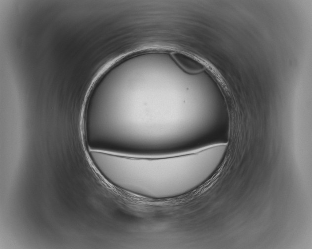 X0000116441199200912081346