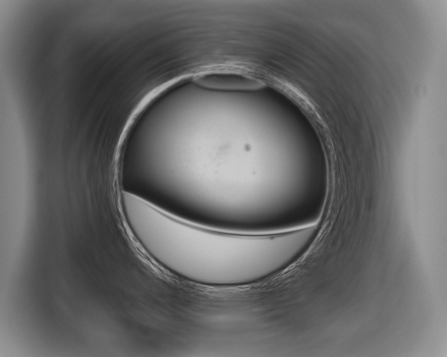 X0000116441200200912081346