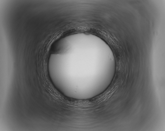 X0000116441201200912081346