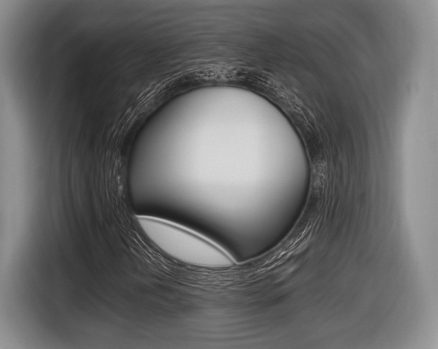X0000116441202200912081346