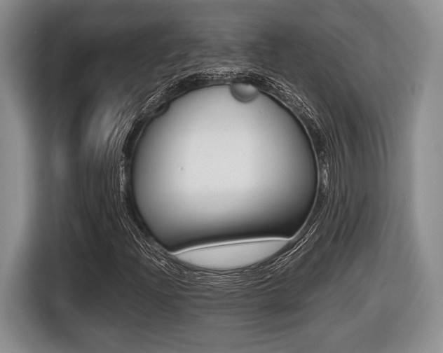 X0000116441204200912081346
