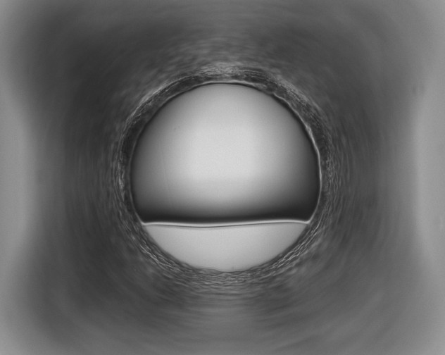 X0000116441206200912081346