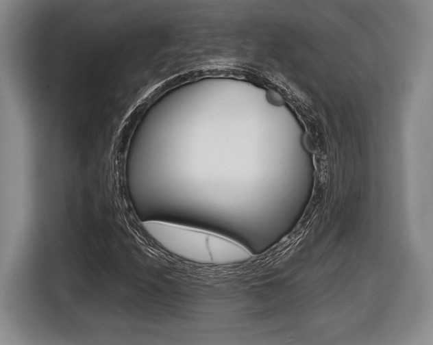 X0000116441208200912081346