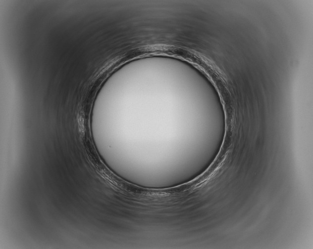 X0000116441209200912081346