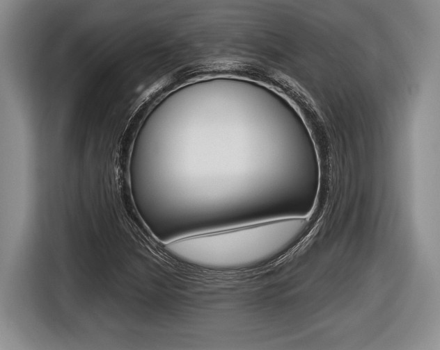 X0000116441210200912081346