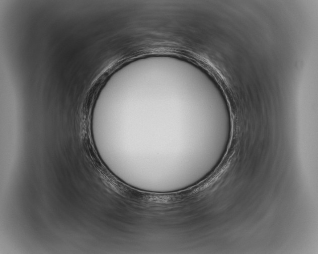 X0000116441211200912081346