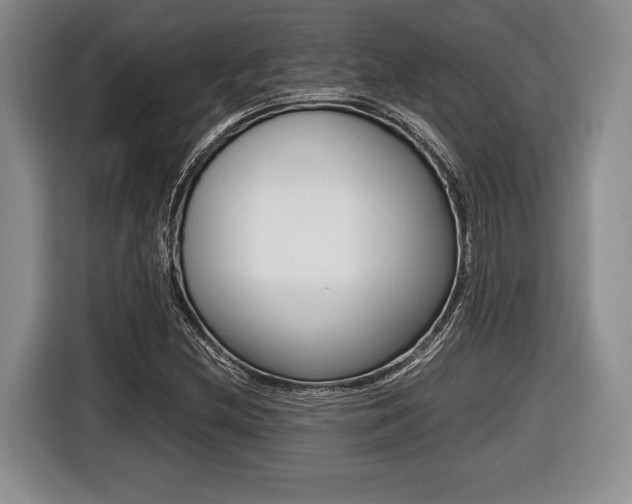 X0000116441212200912081346