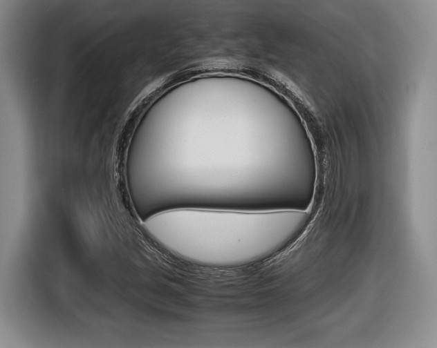 X0000116441213200912081346