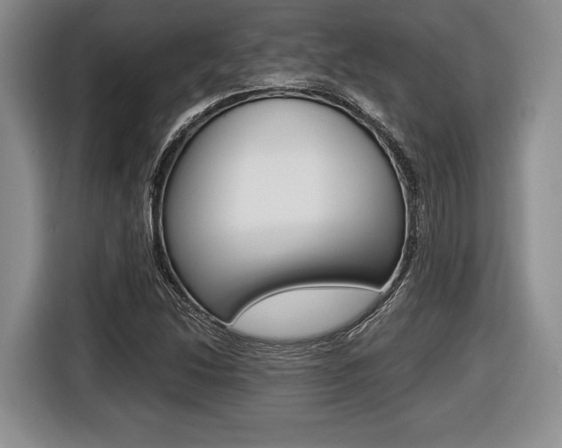 X0000116441214200912081346