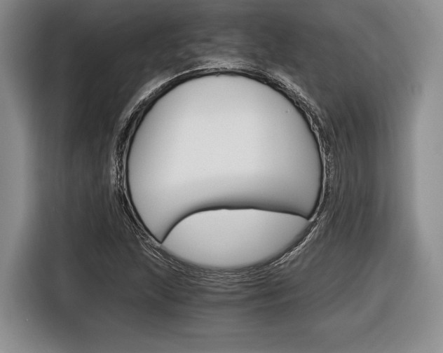 X0000116441215200912081346