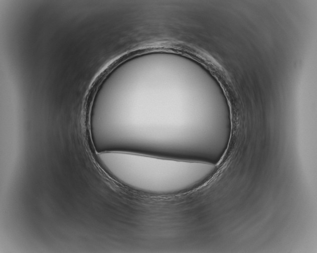 X0000116441216200912081346