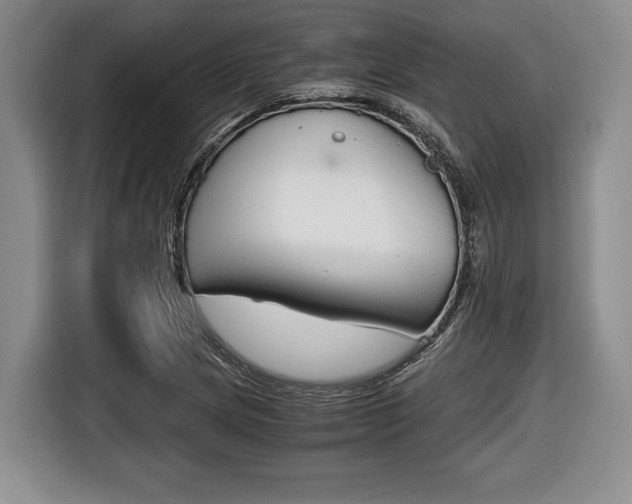 X0000116441217200912081346