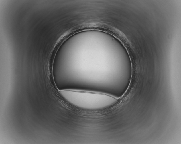 X0000116441218200912081346