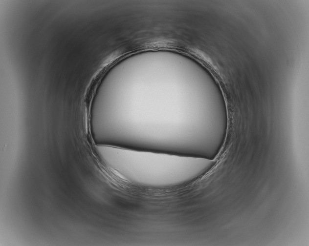 X0000116441219200912081346
