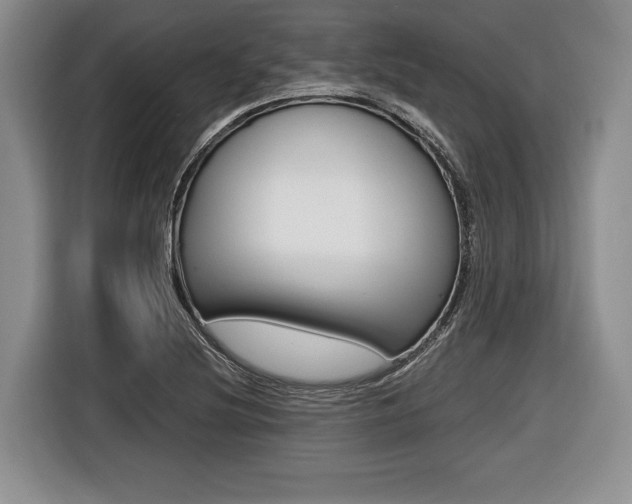 X0000116441220200912081346