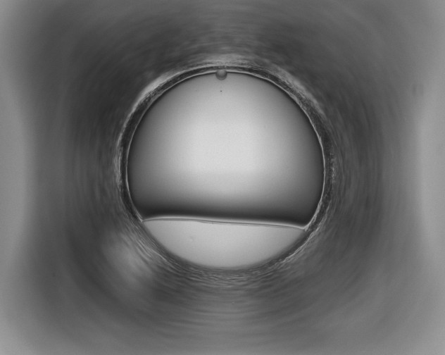 X0000116441222200912081346