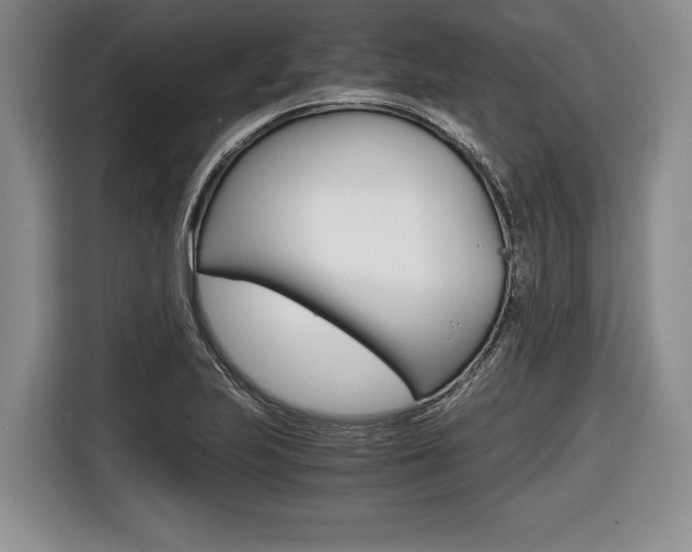 X0000116441223200912081346
