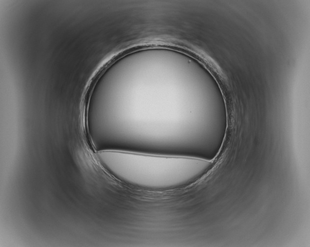X0000116441224200912081346