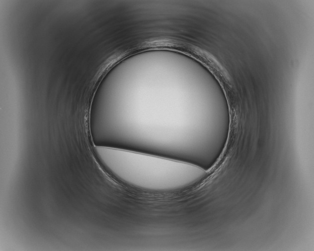 X0000116441225200912081346