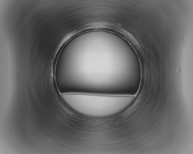 X0000116441226200912081346