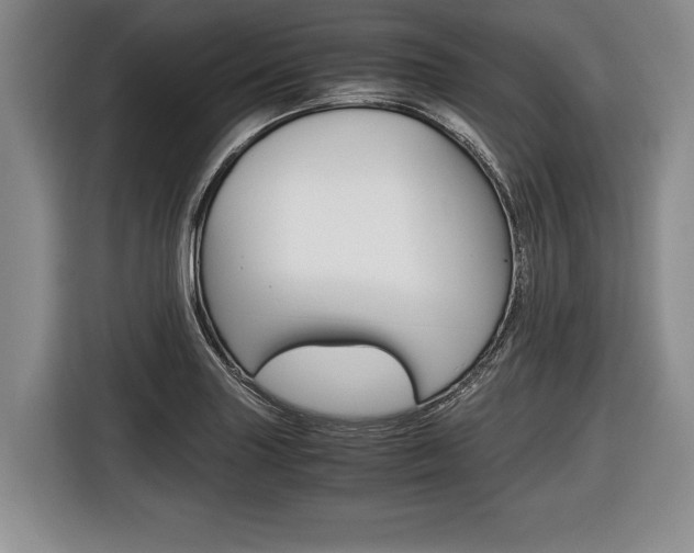 X0000116441227200912081346