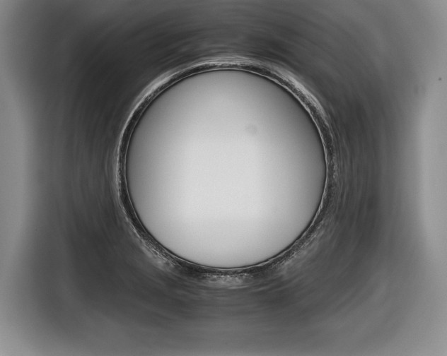 X0000116441229200912081346