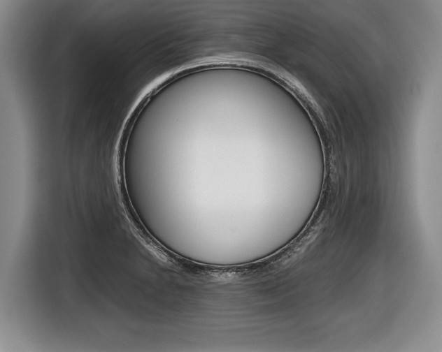 X0000116441230200912081346