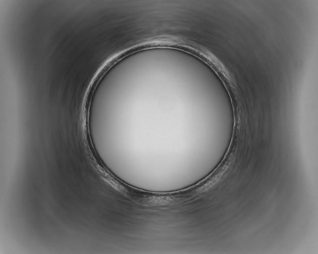 X0000116441232200912081346