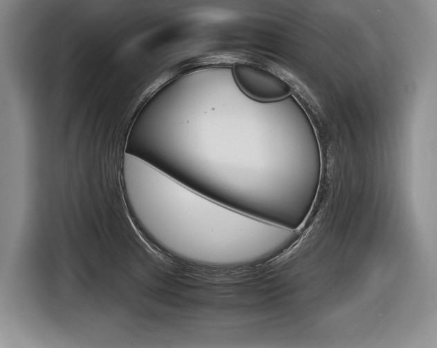 X0000116441233200912081346