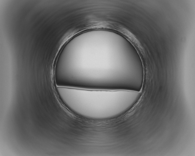 X0000116441234200912081346