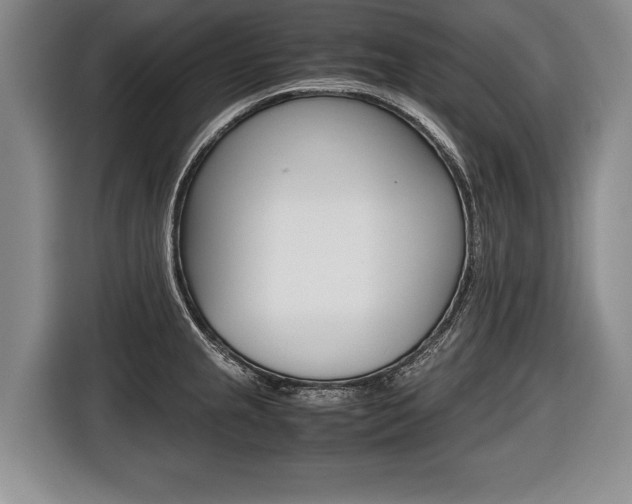 X0000116441237200912081346