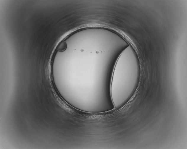 X0000116441238200912081346