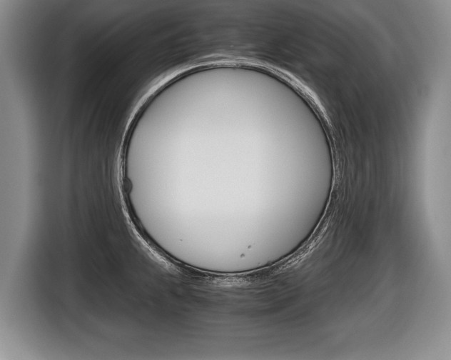 X0000116441239200912081346
