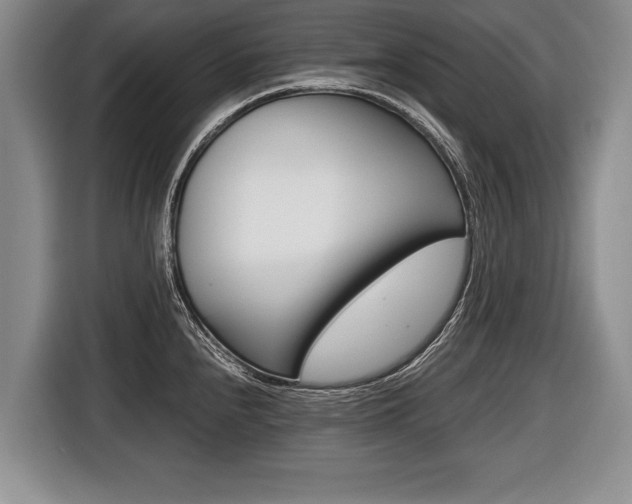 X0000116441240200912081346