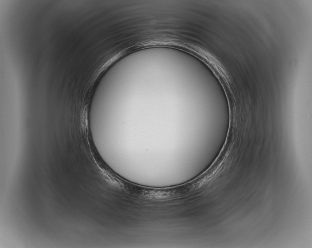 X0000116441241200912081346