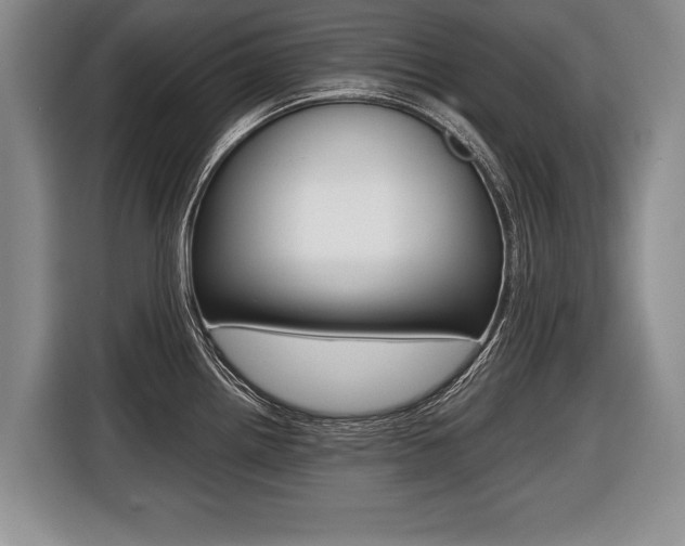 X0000116441242200912081346