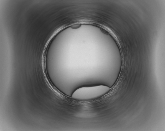 X0000116441243200912081346