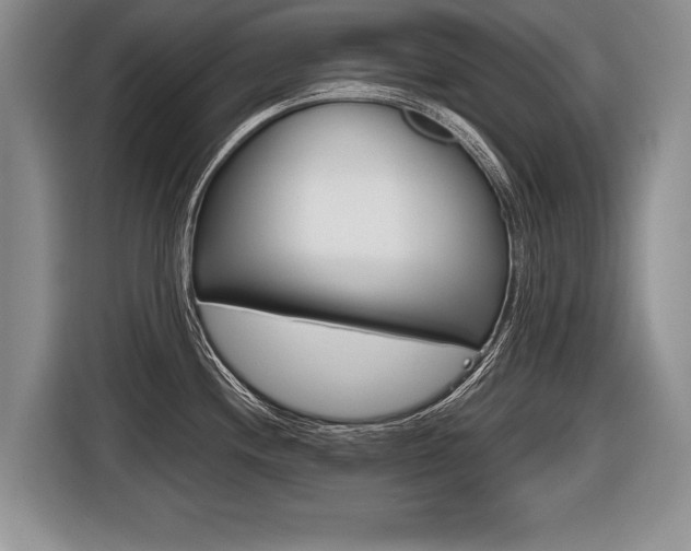 X0000116441244200912081346