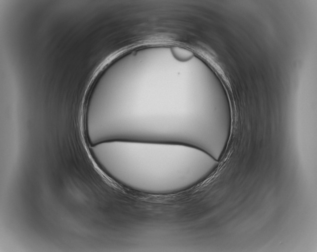 X0000116441245200912081346