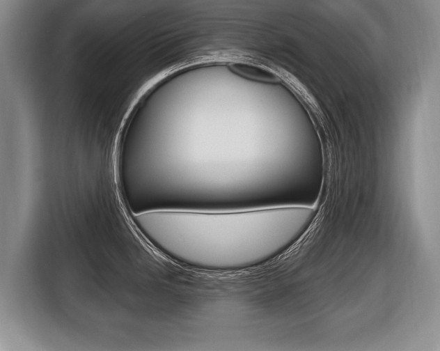 X0000116441246200912081346