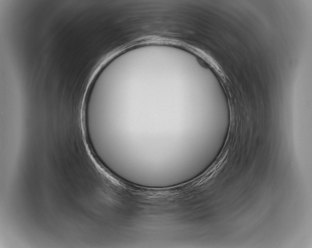 X0000116441247200912081346