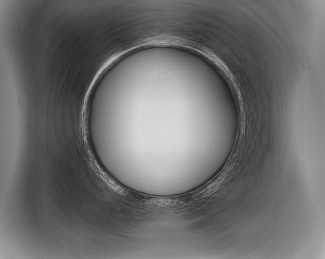 X0000116441248200912081346