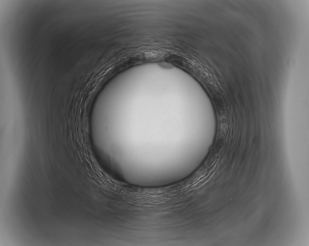 X0000116441249200912081346
