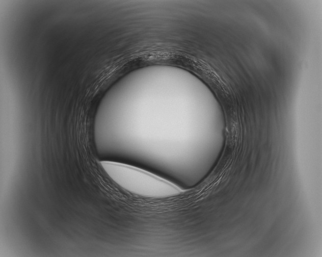 X0000116441250200912081346